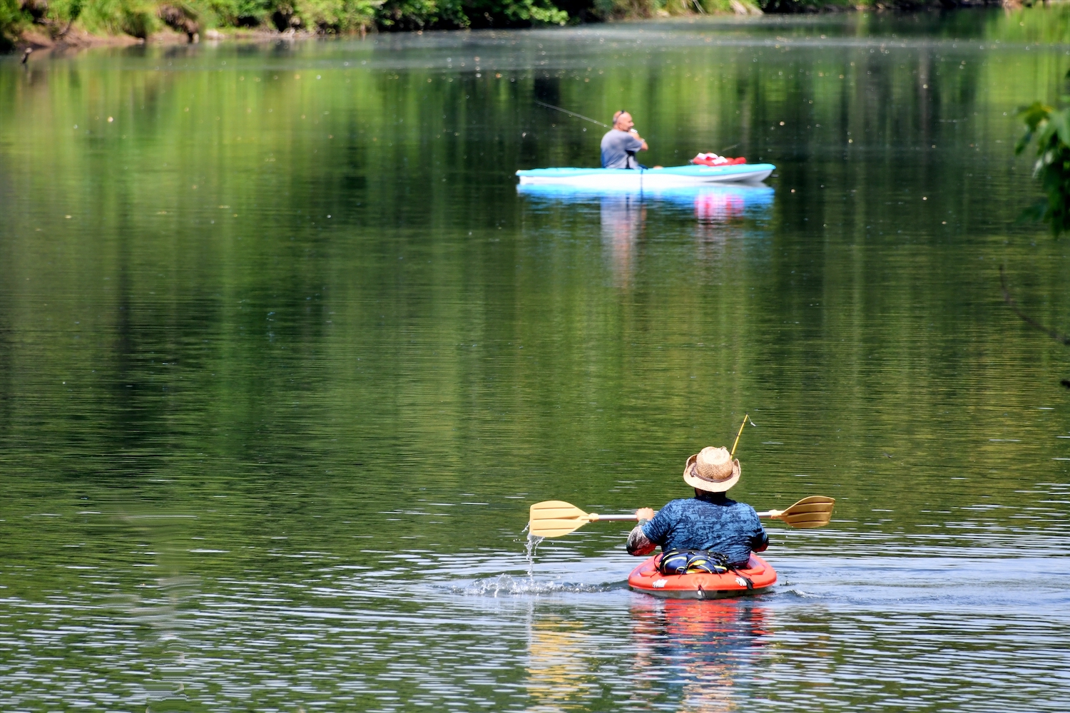 Top 10 Outdoor Activities in Dunnellon