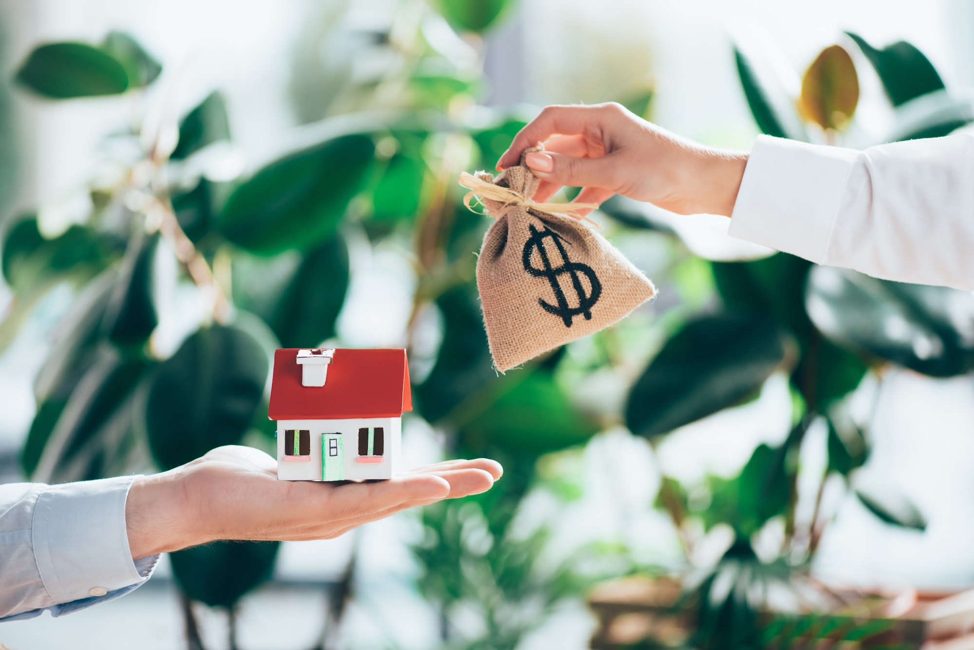 Lady Lake HOA fees