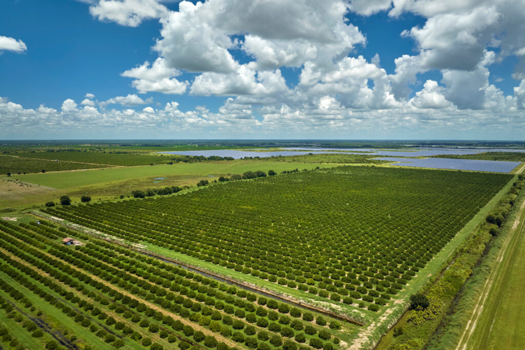 Weirsdale Florida