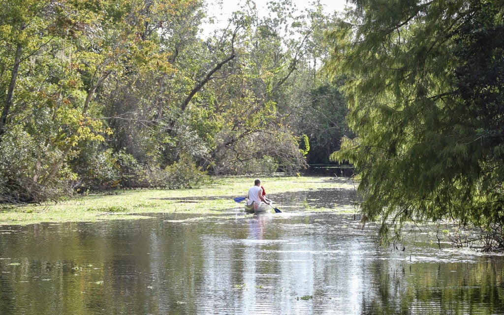 Fruitland Park Florida